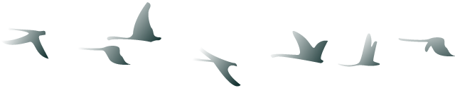 Using printf Function in TrueStudio: A Step-by-Step Guide