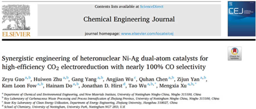 Applications Of DFT Calculations In Dual-Atom Catalysts