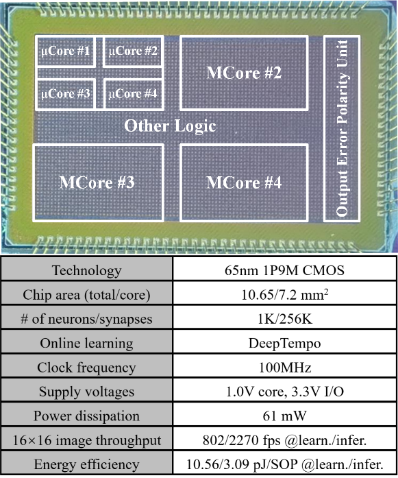 Intelligent Major | On-Chip Deep Learning Brain-Like Visual Processing Chip
