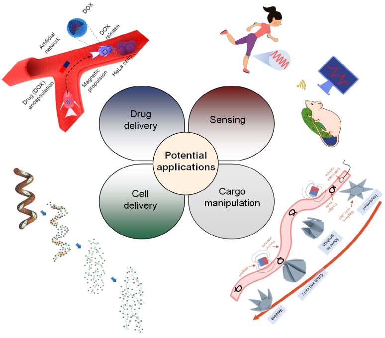 Bioinspired Hydrogel Actuator for Soft Robotics: Opportunities and Challenges