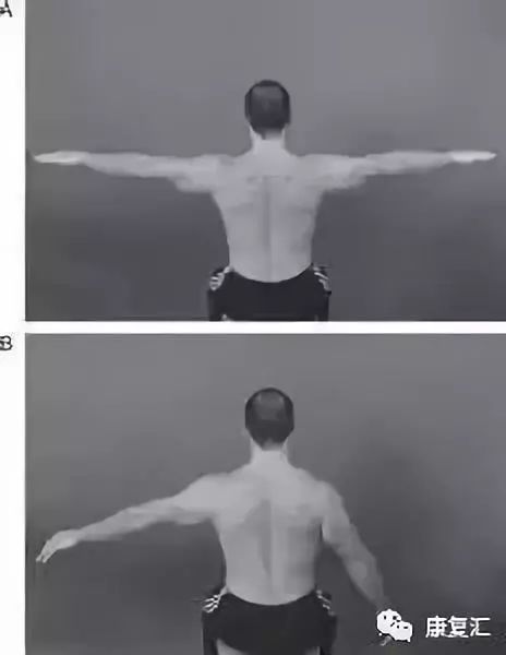 Detailed Guide to Shoulder Joint Physical Examination for Rehabilitation