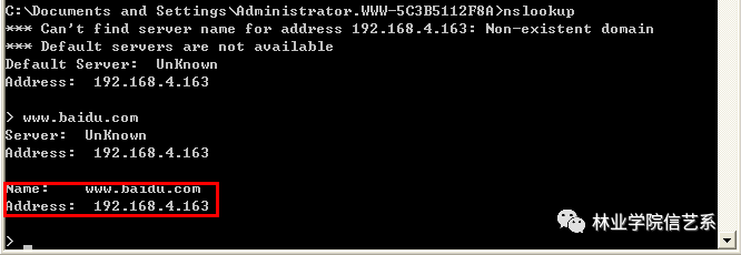 Accessing Domain Names via HTTP