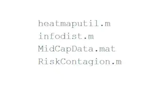 Using MATLAB for Risk Management