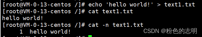Common Linux Commands Explained