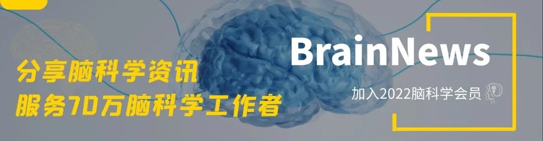 The Role of Inhibitory Circuits in Hippocampal Memory Processing