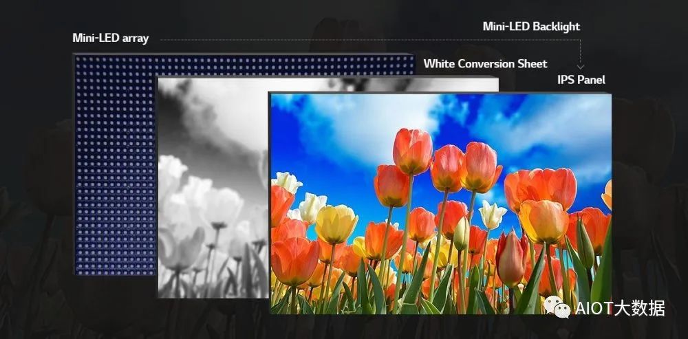 OLED vs Micro/Mini LED: Advantages Compared