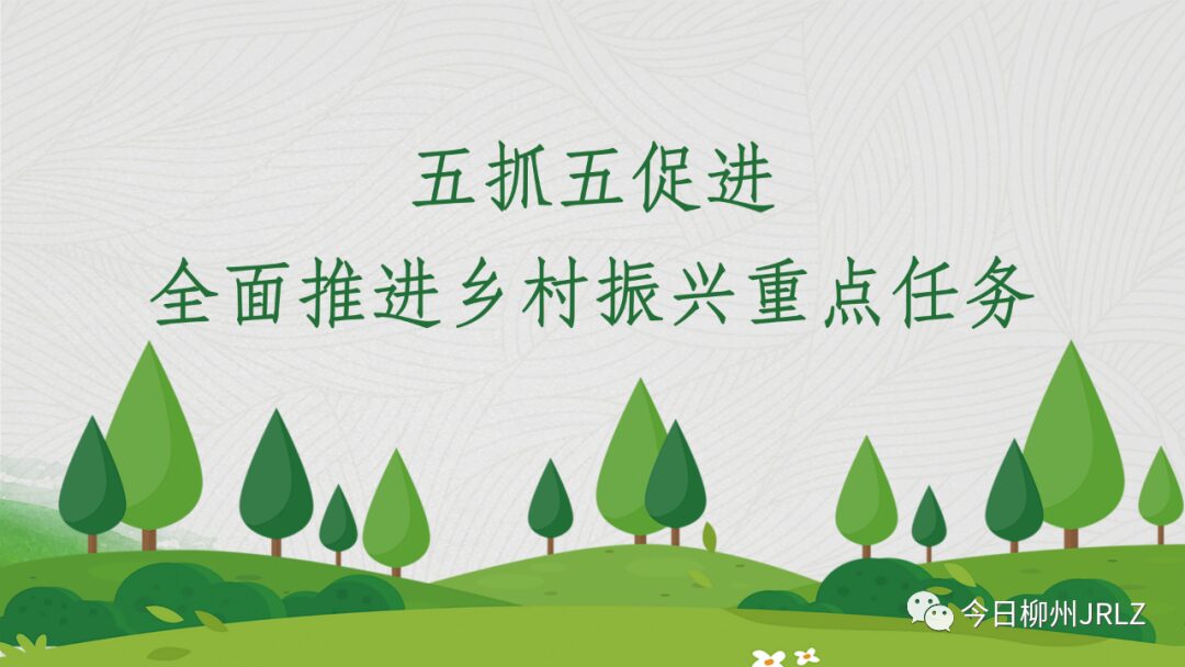 Exploration and Research on Commercial Scenarios of Vehicle Networking in Liuzhou