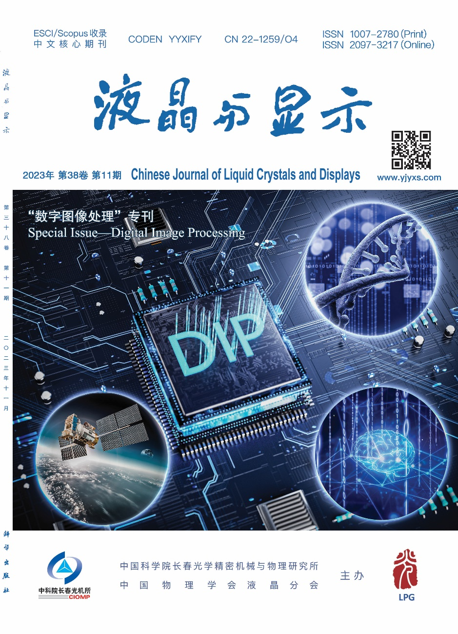Liquid Crystal and Display | Digital Image Processing Special Issue