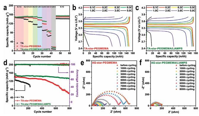 Star-Structured Polymer Electrolyte for Low-Temperature Lithium Batteries