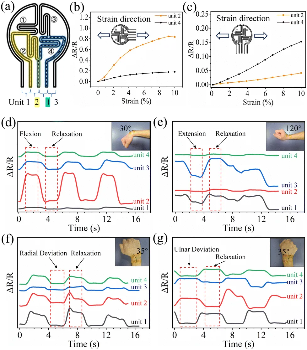 High-Performance Flexible Strain Sensors for 360° Wrist Motion Monitoring