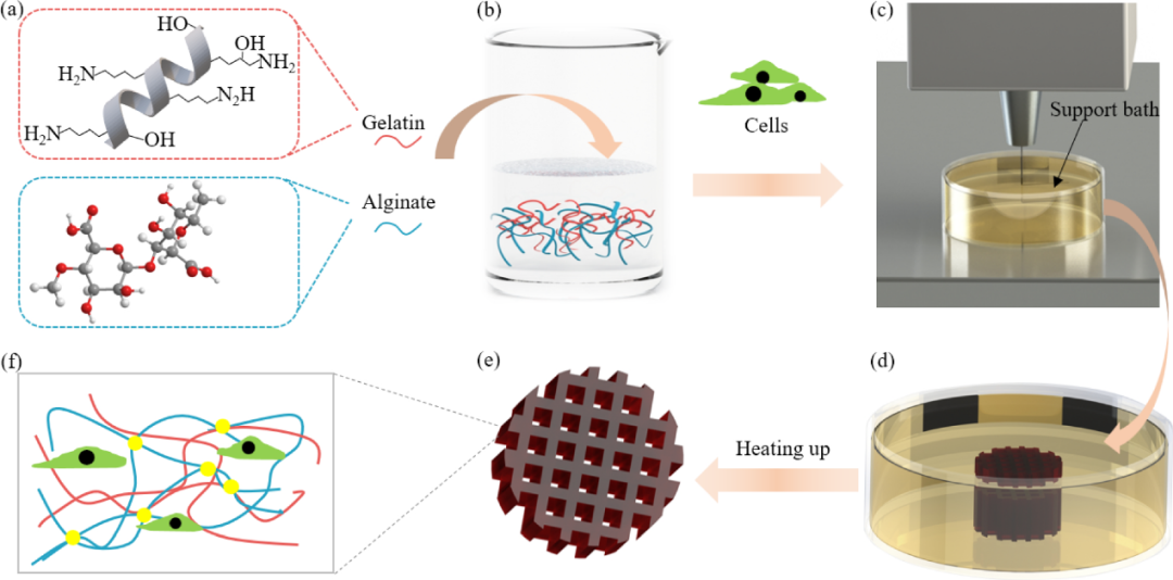 3D Bioprinting of Complex Biological Structures with Tunable Properties