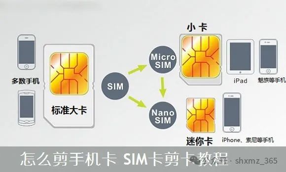 How to Cut a Phone SIM Card: A Tutorial