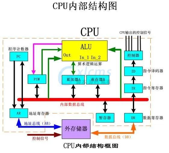 Understanding CPU, GPU, NPU, TPU, DPU, and IPU