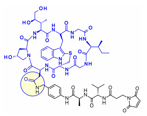 Overview of Antibody-Drug Conjugates (ADCs)