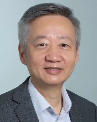 Review of Electrochemical Spectroscopy Development: A Sixty-Year Journey
