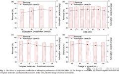 Preparation and Removal Performance of Magnetic Polymer for Carbamazepine and Oxcarbazepine