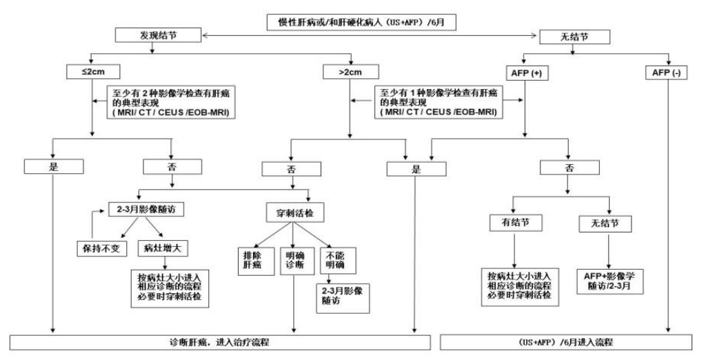 Pathological Diagnosis, Staging, and Classification of Liver Cancer