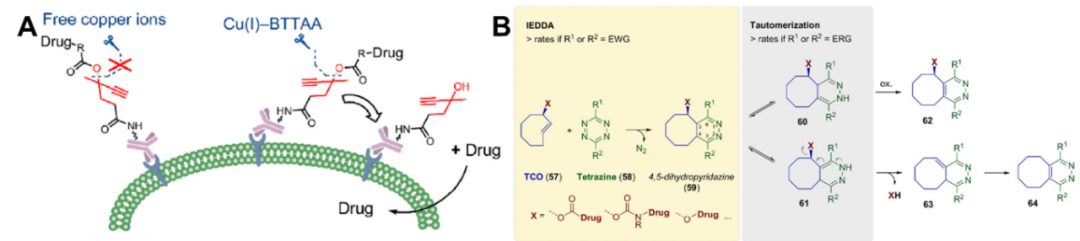 Classification, Cases, and Mechanism of Cleavable Linkers in ADC