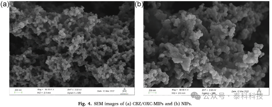 Preparation and Removal Performance of Magnetic Polymer for Carbamazepine and Oxcarbazepine