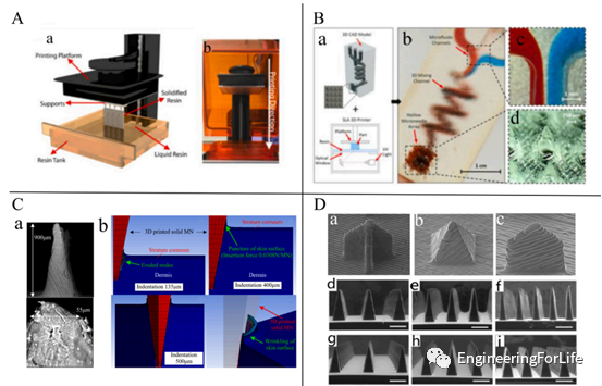 Applications of Projection Photopolymerization in 3D Bioprinting: Microneedles, Microspheres, and Microfluidic Chips