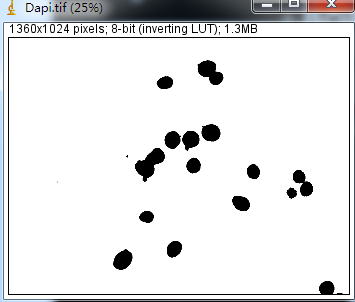 Unlocking Various Technical Skills in ImageJ