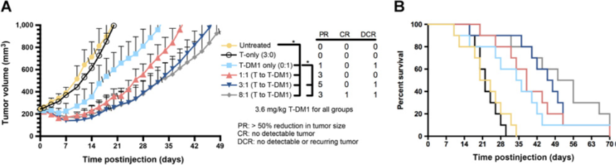 Bottlenecks in ADC Drug Efficacy
