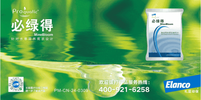 Analysis of Proteus Vulgaris Harm to Carp and Countermeasures