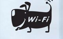 5 Surprising Facts About WiFi Routers