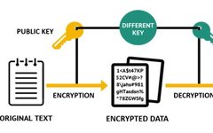 Digital Signature Algorithm (DSA) in Cryptography: How It Works and Its Advantages
