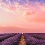 The Secrets of GCC/MSVC Search Paths