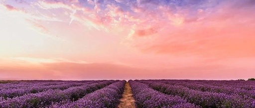 The Secrets of GCC/MSVC Search Paths