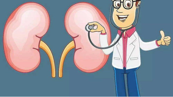Cystatin C (CYS-C) | A Sensitive Indicator of Glomerular Filtration Rate