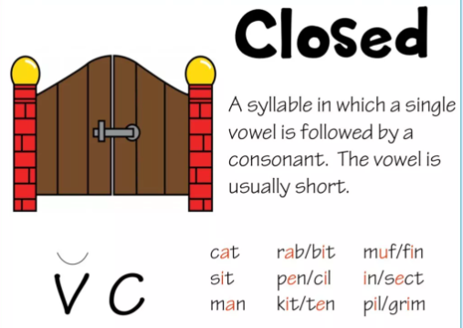 Understanding Syllables in English Words