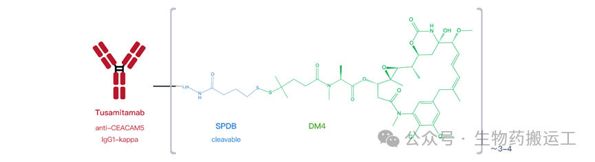 A Journey into ADC Innovation