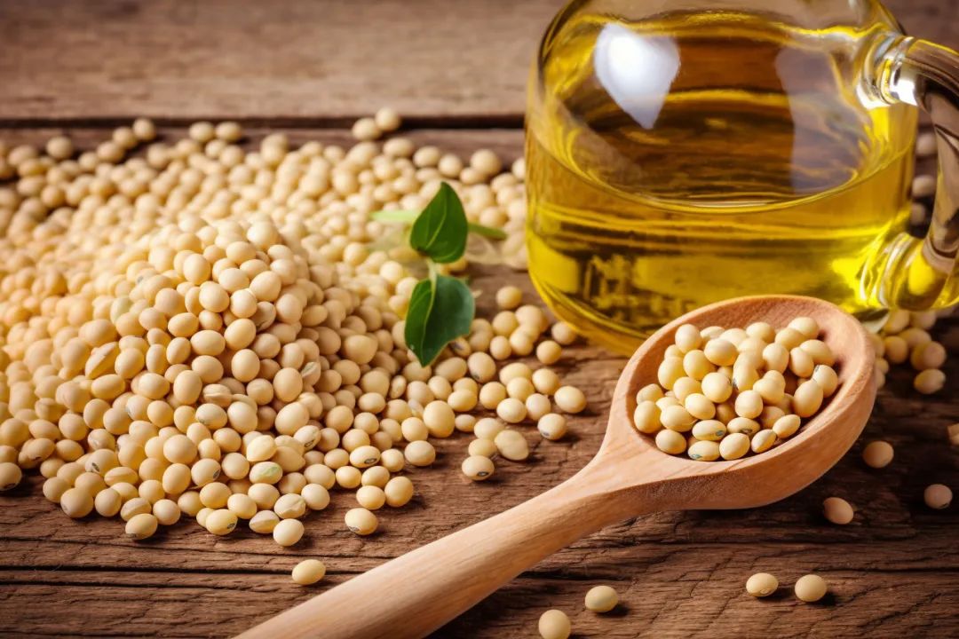 Research Progress on Soy Protein Component Preparation and Functionality