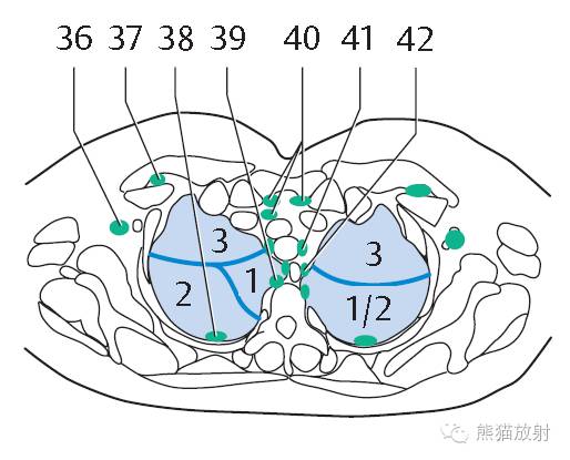 Chest Anatomy | Chest CT Cross-Sectional Anatomy