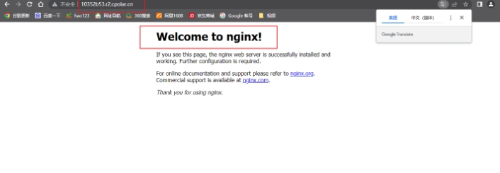 No Public IP Needed! Access Local Sites Anytime with Raspberry Pi and Nginx