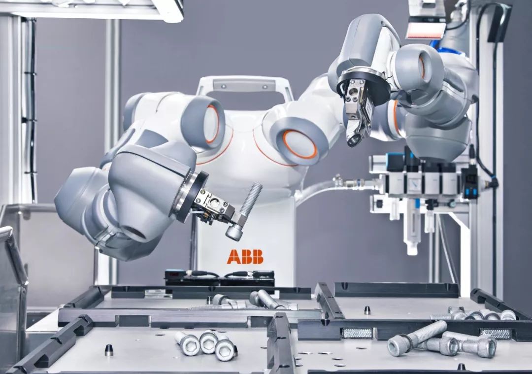 The Brain of Robots