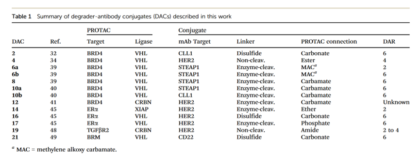 Coupled New Model! PROTAC + ADC = DAC (Directional Degradation Antibody Conjugates)