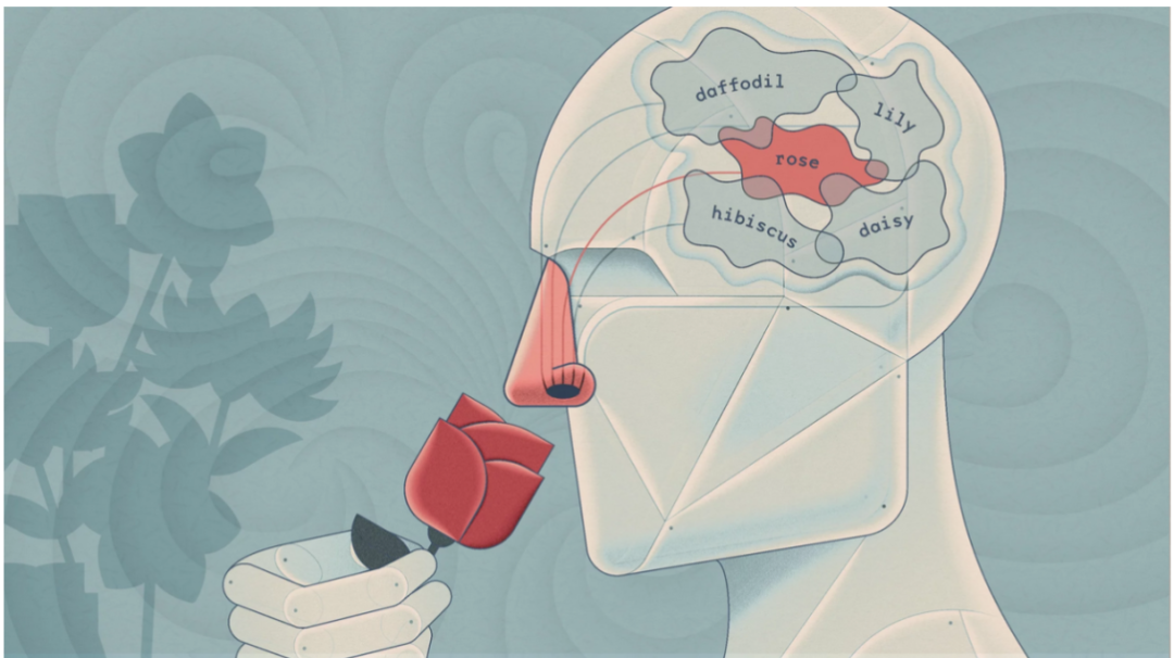 Sensory Physics 101 | Olfaction