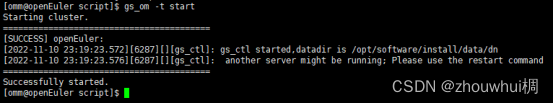 How to Install openGauss on openEuler (ARM Architecture)
