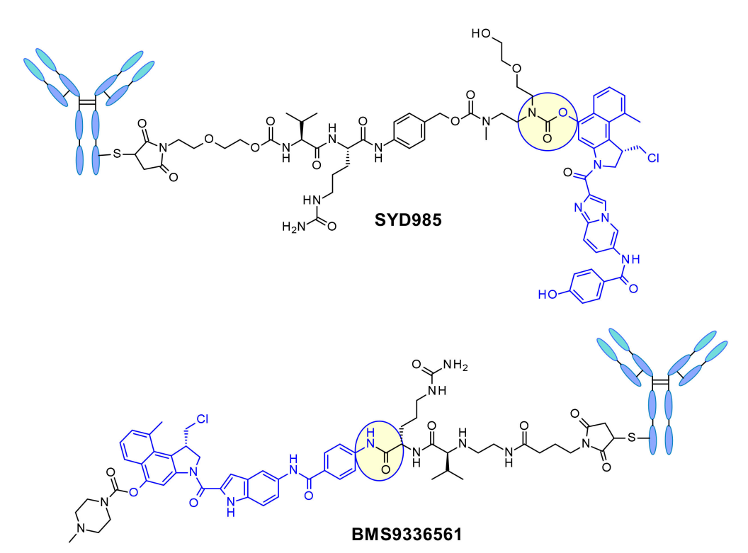 Overview of Antibody-Drug Conjugates (ADCs)