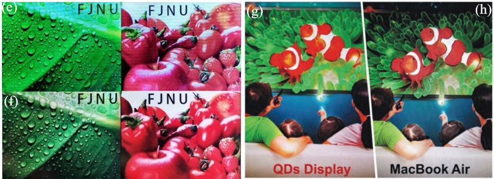 Applications of Perovskite Quantum Dot Glass Backlighting
