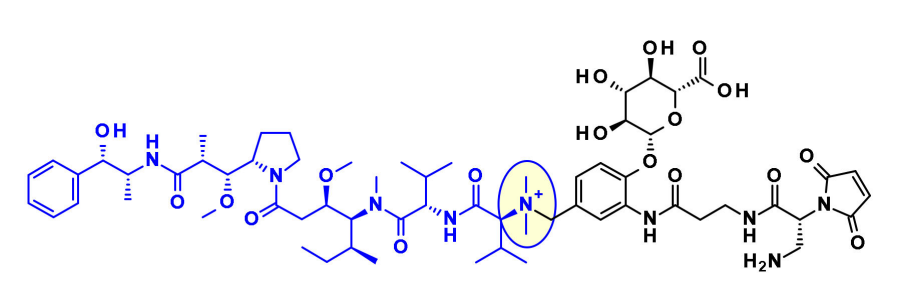 Overview of Antibody-Drug Conjugates (ADCs)