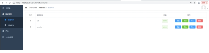 No Public IP Needed! Access Local Sites Anytime with Raspberry Pi and Nginx