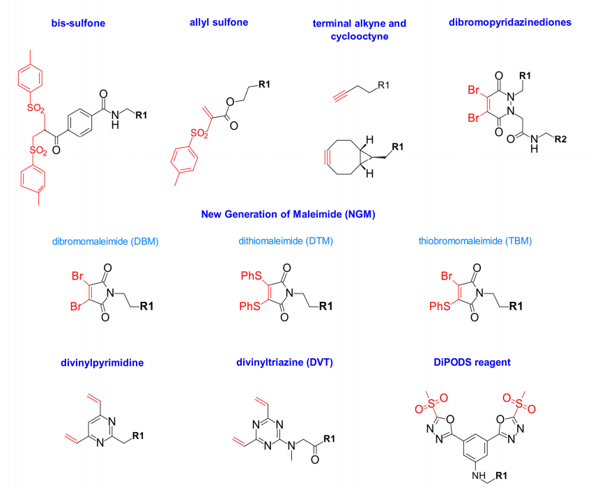 ADC Bioconjugation Technology
