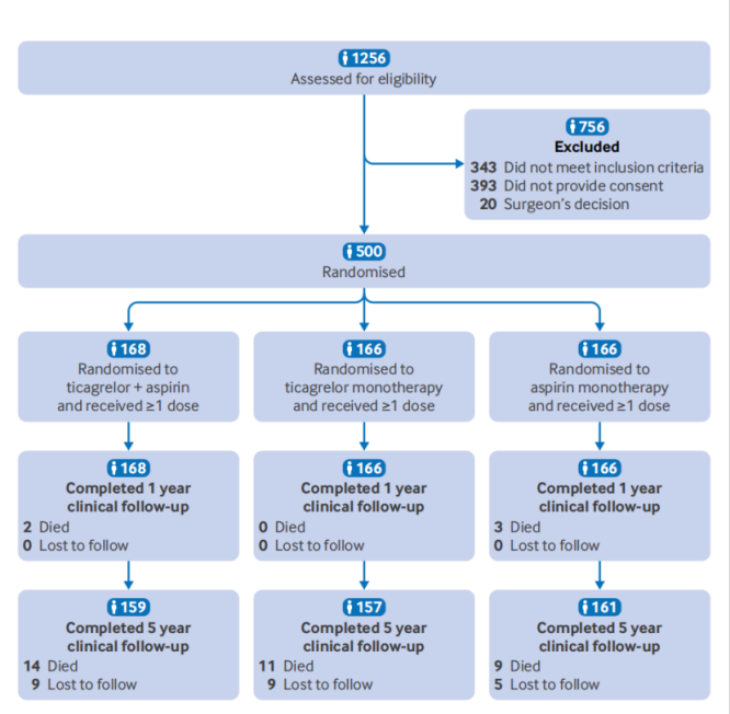 Analysis of Dual Antiplatelet Therapy Results After Coronary Artery Bypass Surgery