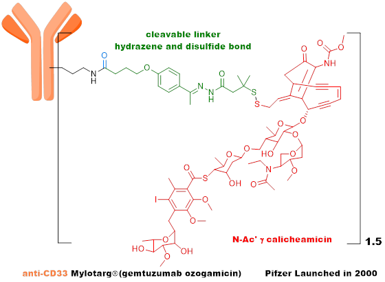 Technical Insights into 15 ADC Drugs and Future Innovations