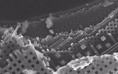 How Are Over 10 Billion Transistors Installed in Chips?