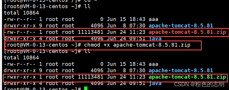Common Linux Commands Explained